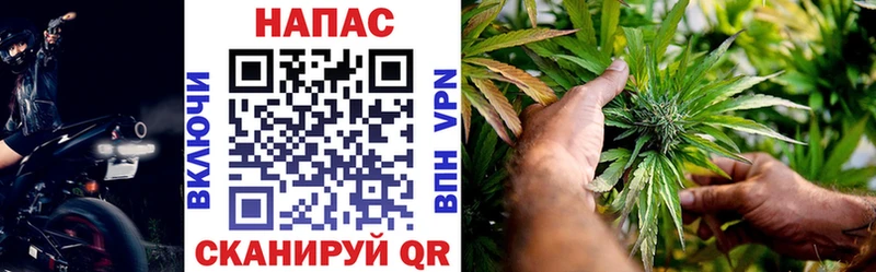 Купить  Ардон  Каннабис MAZAR 